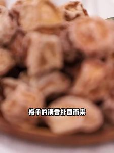 HUAWEIHENG | Authentic Preserved Plum 108g