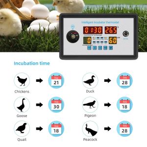 ZFX-W9002 12V/220V Egg Incubator Controller with Temperature & Humidity Sensor for Farm Chickens Ducks Geese