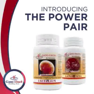 Power Pair 90s Ganoderma & Excellium pair Ganoderma supplement "The King of Herbs" Protection against VIRUSES Boost you Immune System Herbal Supplements Anti-Inflamatory