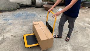 Xe đẩy hàng cỡ lớn sàn sắt gấp gọn tải trọng 150kg & 300 kg XDT04
