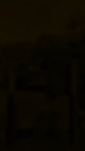 Pensonic Livell Fresh Sonic Electric Toothbrush IPX7 Waterproof Rechargeable | ST1001