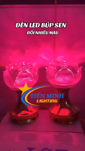 Đèn thờ led búp sen (LBS01/ LBS02/LBS03) màu sắc (Hồng- Trắng- Vàng- Đỏ)