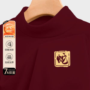 Áo Thun Nam Tay Dài Lót Lông Cừu Dày Cổ Cao Hai Mặt Mùa Đông Ấm Áp Thoải Mái Thường Ngày Thời Trang Áo Phông