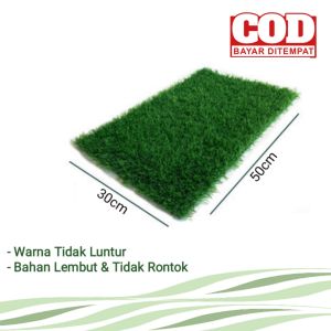 Rumput Sintetis Aquarium