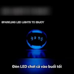 [PETÉ GOURMET] BÓNG MA THUẬT TỰ ĐỘNG CHO CHÓ MÈO