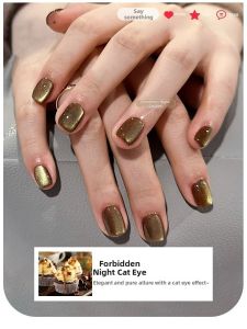 BAOZITI | Crystal Cat Eye Gel Polish Professional Use