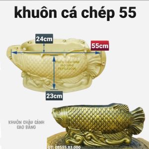 khuôn đúc chậu cảnh cá chép 55 (khuôn ABS có lòng trong)