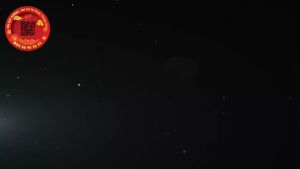 Bông tỏi ông địa mỗi năm sinh tài - TỎI CÁT TƯỜNG