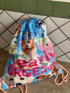 Original ORGEING Large Capacity Backpack Drawstring Doggies Design Dual Use Shoulder Bag Sport Yoga Fitness Fans Supplies