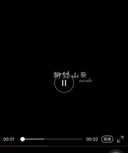 Japanese Cuisine Wooden Mud Mill Fresh Wasabi Grinder Ginger Garlic Grinding Board 鲨鱼皮研磨器芥末蒜泥姜磨板器