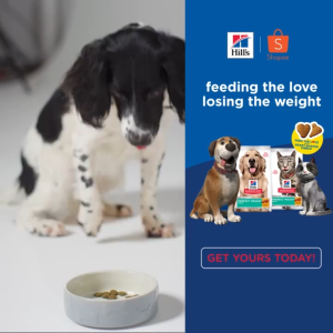 Hills Science Diet Canine Perfect Weight Adult 25lbs