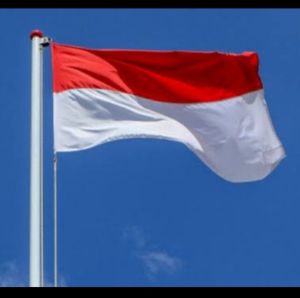 bendera merah putih LARGE ( 150 )/ bendera/umbul-umbul/bandir/bekron