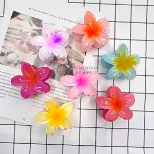 Kẹp Hoa Sứ Hoa Kẹp Tóc Sứ Mẫu Mới Nhiều Màu Sắc Phong Cách Hawaii