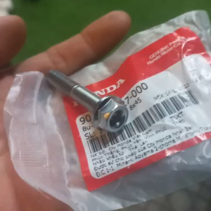 Ôc bắt Heo dầu sau Sh ý 150 và Sh 300i . Sh 350i ( Giá 1 con )