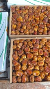 KURMA SUKARI 1KG BASAH/SKUKARI PREMIUM/KURMA RAJA RATU/ PACKING PLASTIK AMAN DAN TIDAK PECAH!!