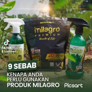 Baja Milagro Organik Tahi Ayam – Baja Pokok Berbuah & Berbunga | Baja Organik Serbaguna 100% Asli