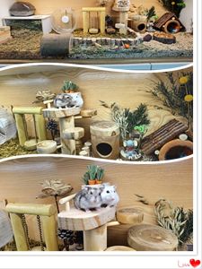 Real Wood Castle Maze Tunnel Pet Playground for Hamsters Squirrels Teeth Grinding Toy Scenic Decoration Pet Cage Accessories