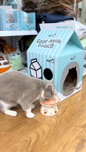 Nhà cho mèo PetQ - Nhà mèo bìa carton có bàn cào móng