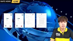 RAPD แผงโซล่าเซลล์ 450W โมโน 450วัตต์ กระจก2ด้าน โซล่า MONO Half cut cell เทคโนโลยี Genius แผงพลังงานแสงอาทิตย์ Solar panel โซล่าเซลล์ แผงโซล่า แผง โซล่าเซลล์450W - Lazada