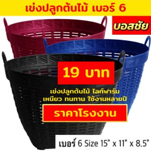 เข่งจิ๋ว เข่งพลาสติก  เข่งปลูกต้นไม้ เข่งผลไม้ เข่งกลม เข่งใส่ทุเรียน เข่งทุเรียน ตะกร้าพลาสติก ตะกร้า (หนา)