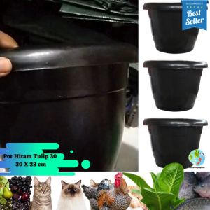 Pot Hitam 30 Tulip High Quality