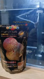 Okiko Platinum Flower Horn 100%