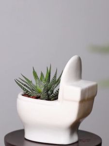 [Local Ready Stock] Cute Epic and Exciting Gardening Pot with Interesting Image like Duck /Cat / Elephant & Exotic Toilet Ideal for gifts and Souvenir