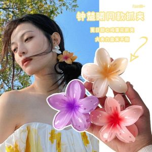 Kẹp Tóc Hình Hoa Quả Trứng Ngọt Ngào Cỡ Vừa Dành Cho Nữ Mùa Xuân Hè Đa Năng Chụp Ảnh Bãi Biển Búi Tóc Kẹp Cá Mập Phụ Kiện Tóc