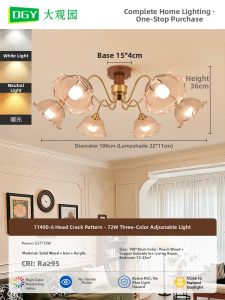 DGY | Vintage Retro Ceiling Light Chandelier