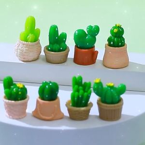 JT Garden A036 กระบองเพชรจิ๋ว ขนาดสุด สำหรับการเพชรและรูปลักษณ์ ของขวัญ พร้อมการส่งจากไทย