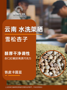 Nahm Manor Cedar Apricot Washed Iron Pickup round Bean Yunnan Coffee Raw Bean Raw Materials Can Be Baked for 1kg
