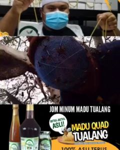 MADU QUAD 1 KG : MADU TUALANG HUTAN ASLI DIJAMIN 100% ORI