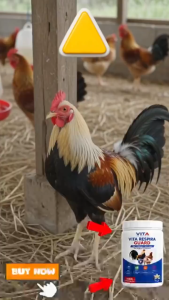 [ Ready Stock] VitaPahid Gamefowl Balm – Chicken & Rooster Muscle Comfort Warming Massage & Recovery Care