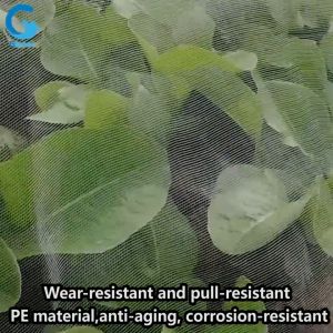 Gbest Quality Protective Net nylon barrier netting Fruit Vegetables Plant Care Covers protection Garden Insect Pest Anti-bird Mesh wrapping Net jaring sayur tanaman pembungkus buah 防鸟网 水果保护网