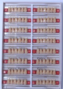 Gigi Tiruan Depan Bawah per box isi 16 papan (Anterior Lower) Caiyu original asli