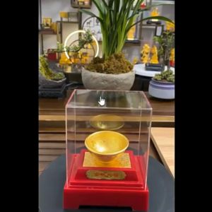 CT232B179 HAOYUN ชามข้าวทอง สีทอง มงคล ของขวัญเลื่อนตำแหน่ง ของขวัญขึ้นบ้านใหม่ ขนเงินขนทอง รับทรัพย์