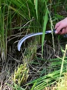 60cm Long Handle Agricultural Weeding Tool for Gardening Weeding Harvest the betel nut Open Road Hand Forged