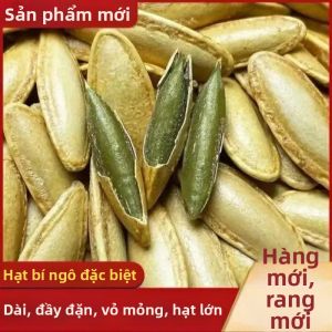 Hạt Bí Đao Nướng Mặn 500g