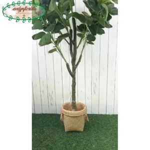 Pohon Imitasi Tanaman Hias Mangkokan X4 T140 Semi Latex Cover Pot Purun Handle Small Hiasan sudut Ruang