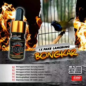 DOPING 100% SUPLEMEN PENGGACOR BURUNG MURAIKACERPENTETKOLIBRIPLECISOGON