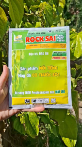 [THIEN THINH SHOP] ROCSAI LÚA VÀNG gói 33.3 gram Trừ đạo ôn lá đạo ôn cổ bông 2 hoạt chất không gây nóng lúa