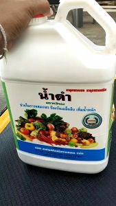 หวีทอง น้ำดำ ขนาด 5 ลิตร แมกนีเซียม โบรอน เพิ่มรสชาติ สีสัน ความหวาน พืชใบเขียวเข้ม ช่วยให้พืชแข็งแรง พืชต้านทานโรคและแมลงได้ดี