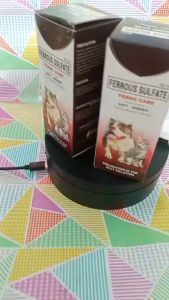 Ferro Care Petsmed Iron Supplement for Dogs and Cats Anti Anemic Ferric Sulfate 60mL w/ Free Syringe