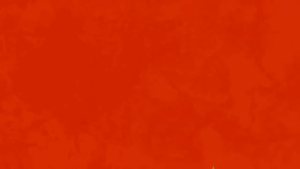 EURO GRIFIN TOP BOX BRACKET  / LIFE TIME WARRANTY / GRIFFIN EURO / BLACK POWDER COATED / HEAVY DUTY / ORIGINAL / GRIFFIN