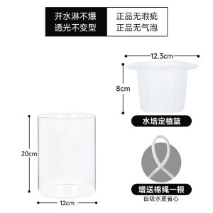 Simple round Cylinder High Borosilicate Glass Flower Pots for Lazy People Indoor Plant Hydroponics Green Ivy Water Absorption