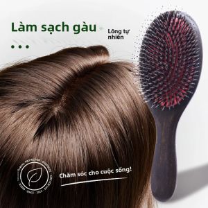 Lược Chải Tóc Bằng Lông Lợn Rừng Dành Cho Nữ Lược Gỗ Gỡ Rối Dành Cho Tóc Xoăn Dày Dài Dùng Được Khi Khô Hoặc Ướt Mát-xa Da Đầu