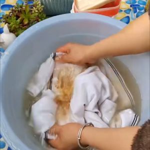 Tẩy Trắng Quần Áo TERO 300g – Chính Hãng Loại Bỏ Ố Vàng Vết Bẩn Cứng Đầu Không Phai Màu An Toàn Cho Sợi Vải