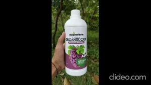 PUPUK KOTORAN WALET | COR ORGANIK BUAH ANGGUR | Terbuat Dari Kotoran Walet Asli | Fermentasi 41 Hari/ Untuk Pupuk Penyubur