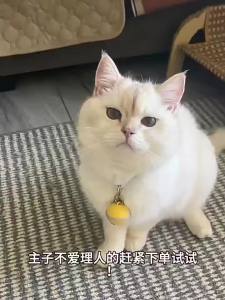 HOOPET | Dây Đeo Thông Minh Chống Thất lạc Chống Nước