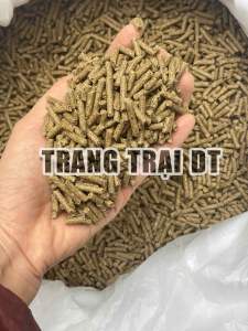 1 Kg Cám thỏ thịt 552 thức ăn cho thỏ con nhỡ chuột bọ ú nhím dũi..
